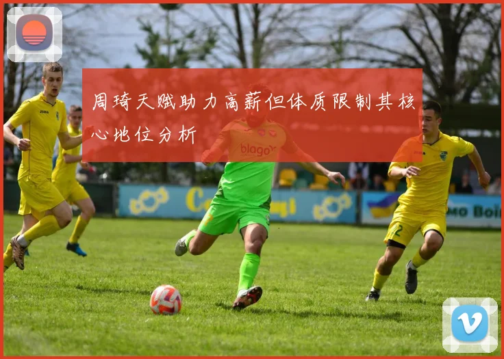 周琦天赋助力高薪但体质限制其核心地位分析