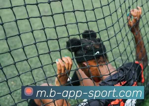 B体育平台生态图